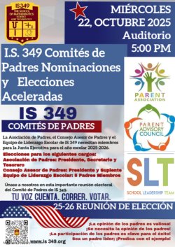 elections span flyer